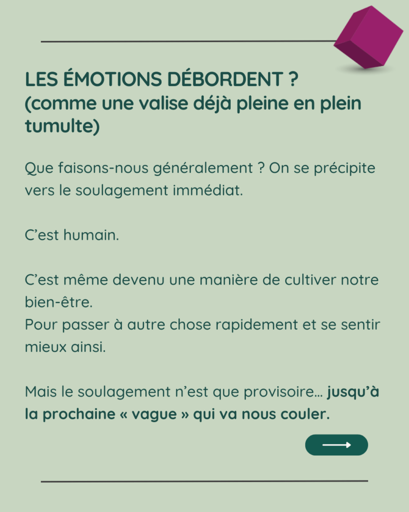 Les émotions débordent : recherche de soulagement immédiat et ses limites